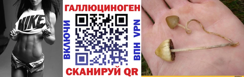 Галлюциногенные грибы прущие грибы МЕГА рабочий сайт Ступино