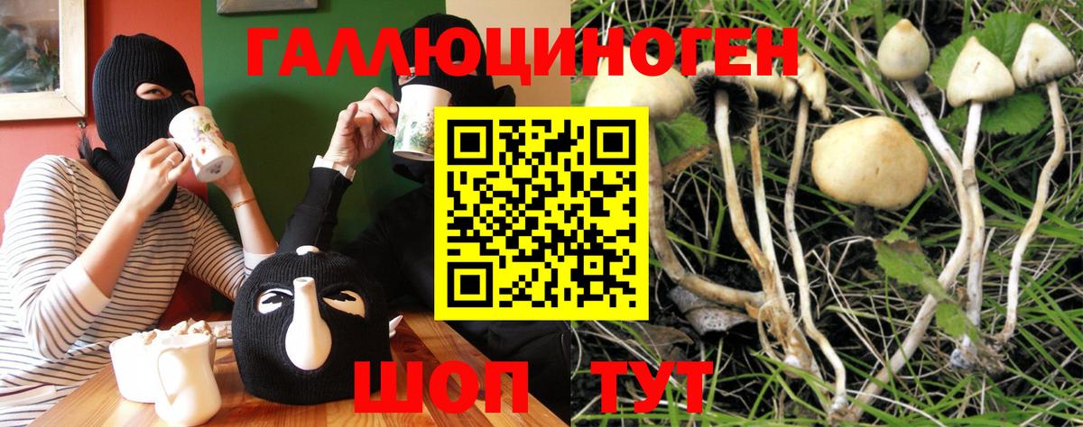 Галлюциногенные грибы Magic Shrooms Ступино